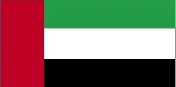 Panama International Firm • Panama International Firm AE-flag