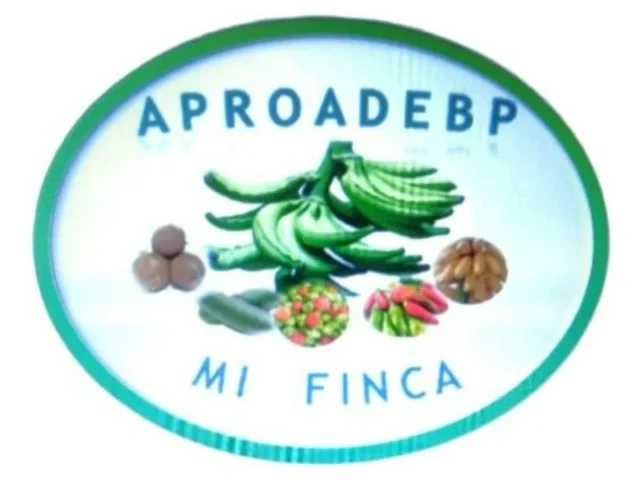 Panama International Firm • Panama International Firm APROADEBP Logo