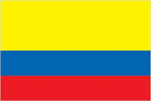 Panama International Firm • Panama International Firm CO-flag